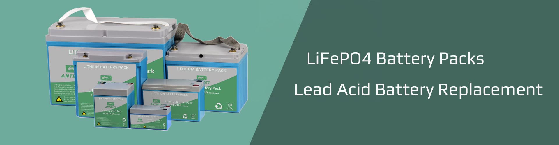 LiFePO4 12V Battery Packs