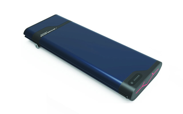 Lithium ion E-bike Battery Pack Rear Rack RR21