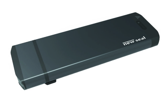 Lithium ion E-bike Battery Pack Rear Rack RR23